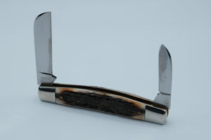 Queen Cutlery Co. #31 — Two-Blade Jack, Genuine Stag Handle, New in Box, Titusville PA