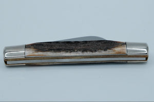 Queen Cutlery Co. #31 — Two-Blade Jack, Genuine Stag Handle, New in Box, Titusville PA
