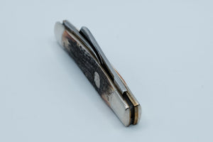 Queen Cutlery Co. #31 — Two-Blade Jack, Genuine Stag Handle, New in Box, Titusville PA