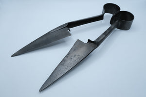 Antique Sheep Shears — Ward & Payne, Sheffield, England