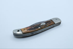 Ka-Bar Dog Head Folding Hunter — Bone Handle