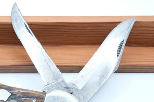 Ka-Bar Dog Head Folding Hunter — Bone Handle