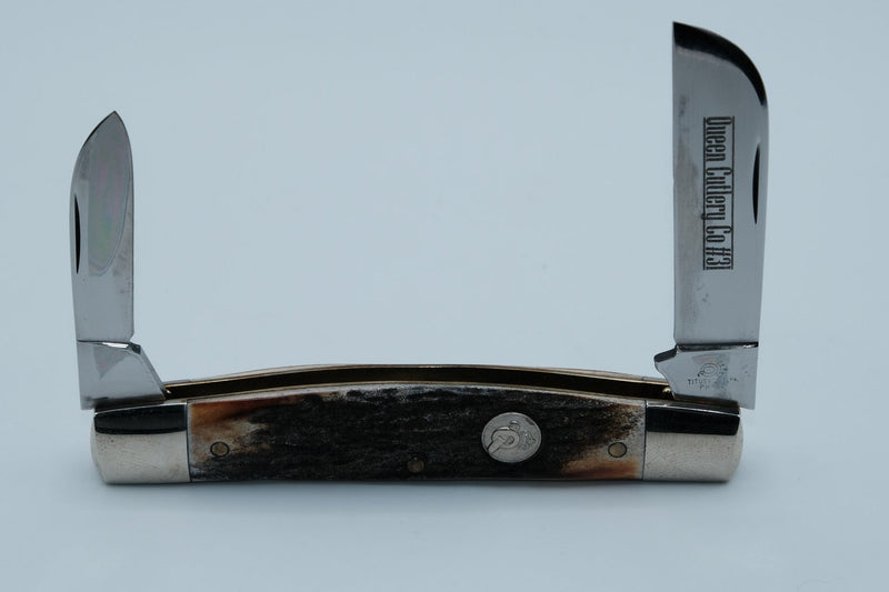 Queen Cutlery Co. #31 — Two-Blade Jack, Genuine Stag Handle, New in Box, Titusville PA