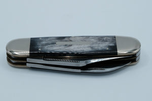 Bulldog Brand Sunfish — Whitetail Deer Etch by Todd Reed, Genuine Buffalo Horn, 1 of 20, Solingen